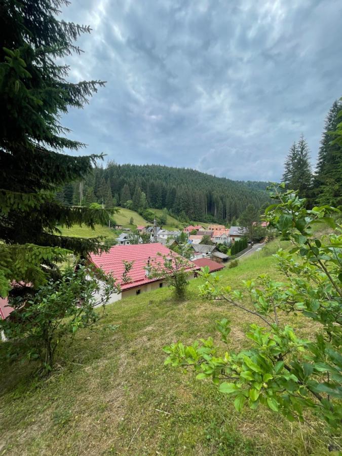 Casa De Vacanta Chesa Borsec Exteriör bild